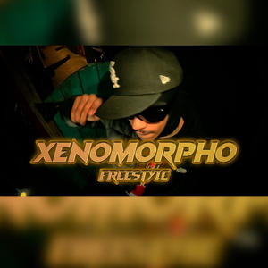 Xenomorpho Intro (Explicit)