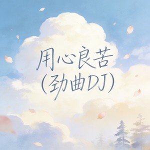 用心良苦 (劲曲DJ)封面
