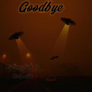 goodbye (feat. bxby wikk) [remix] [Explicit]