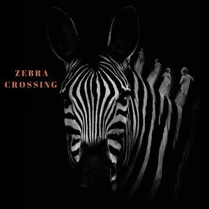 Zebra Crossing