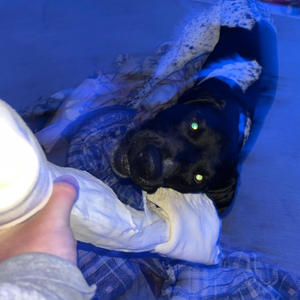 Quality Control (feat. Deebo) (Explicit)