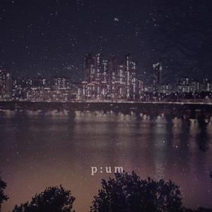 서울의 밤 (首尔的夜)