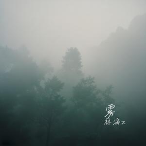 披星戴月奔向你封面