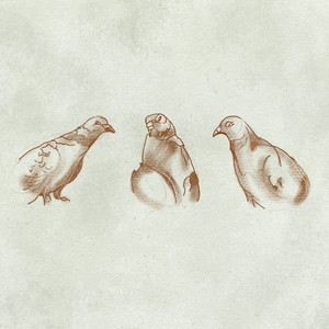 Taubenschlag (Explicit)
