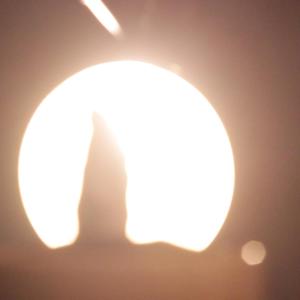 All you need to know