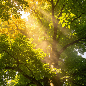 我恨我爱你 (陷阱版)