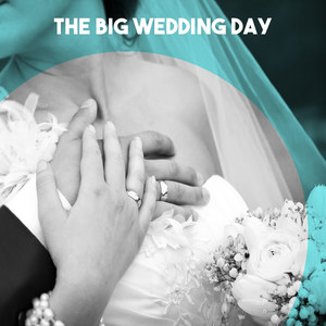 Piano Concerto No. 5, BWV 1056 - Piano Concerto No. 5, BWV 1056: II. Arioso - Largo