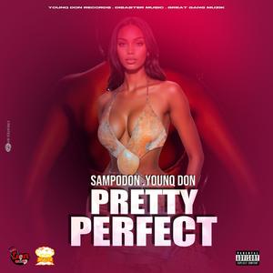 Pretty Perfect (Explicit)