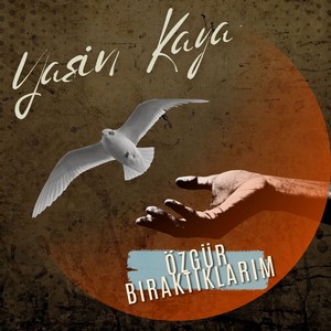 Özgür Bıraktıklarım