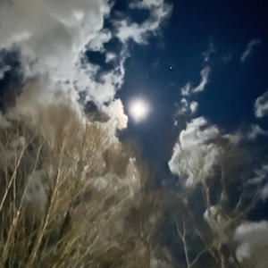 Space Jam (Explicit)