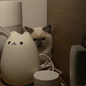 right here, right now!