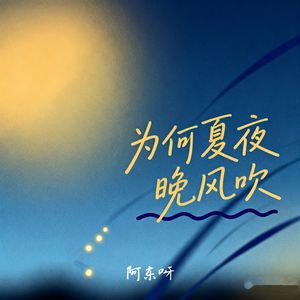 为何夏夜晚风吹