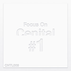 Focus on Cenital, Vol. 1