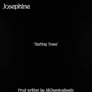 Hurting Trees (feat. Josephine Cook) (Explicit)