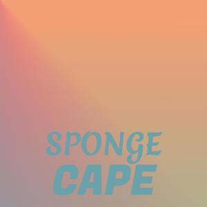 Sponge Cape