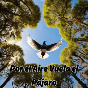 Por el Aire Vuela el Pájaro