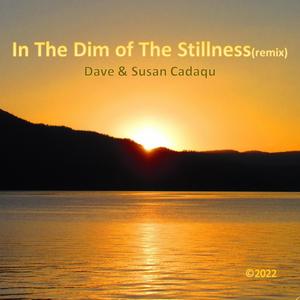 In The Dim of The Stillness (remix)