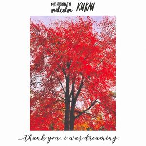 KURAU & Michi***** Malcolm - Thank You, I Was Dreaming (Explicit)