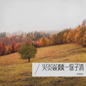 火炎焱燚-徐子沐作品