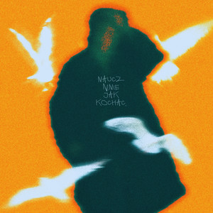 Shane. - naucz mnie jak kochać