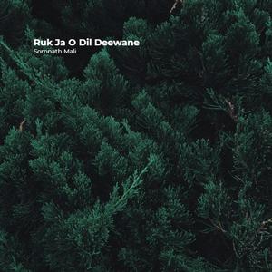 Ruk Ja O Dil Deewane