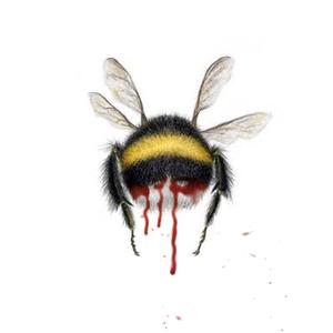 bumblebee's bleed (Explicit)