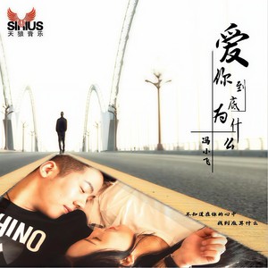 爱你到底为什么