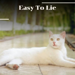 American Guy in Germany (Radio Edit)