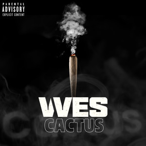 CACTUS (Explicit)