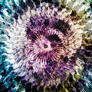 Harsh Mellows (Explicit)