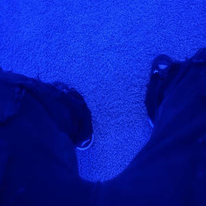 Digi (feat. Jayteii) (Explicit)