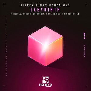 Labyrinth (Samer Tinoco Remix)