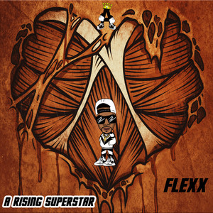 Flexx (Explicit)