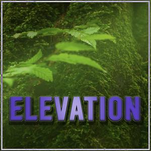 Elevation