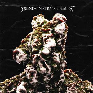 FRIENDS IN STRANGE PLACES (Explicit)