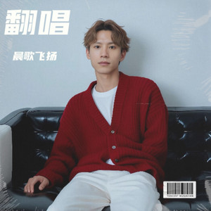 想问情深有几许 - 晨歌飞扬封面