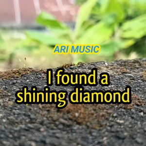 I found a shining diamond