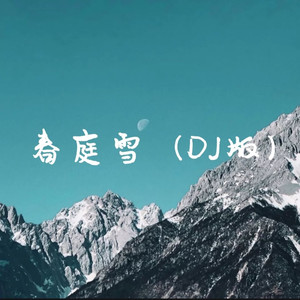 春庭雪 (DJ弹鼓版)