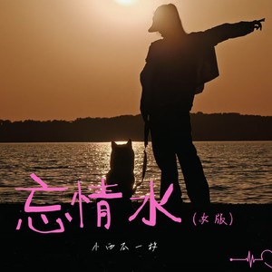 忘情水 (女版)封面