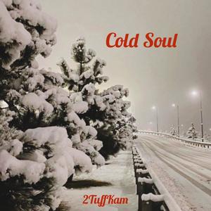 Cold Soul (Explicit)