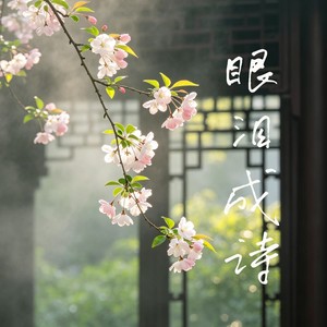 眼泪成诗 (R&B版)封面