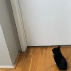 im doin fine(feat. Boyfifty) (Explicit)