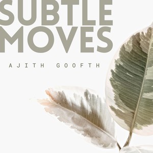 Subtle Moves (Original Mix)
