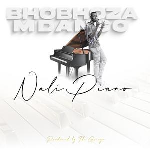 Nali Piano (feat. Bhobhoza Mdanso)