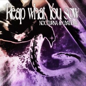 Reap What You Sow (Instrumental Version)