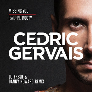 Missing You (DJ Fresh & Danny Howard Remix)