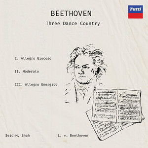 Beethoven TDC - Allegro Giocoso No.1