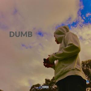 DUMB (Explicit)