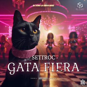 Gata fiera