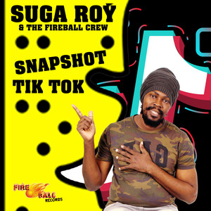 Snapshot Tik Tok